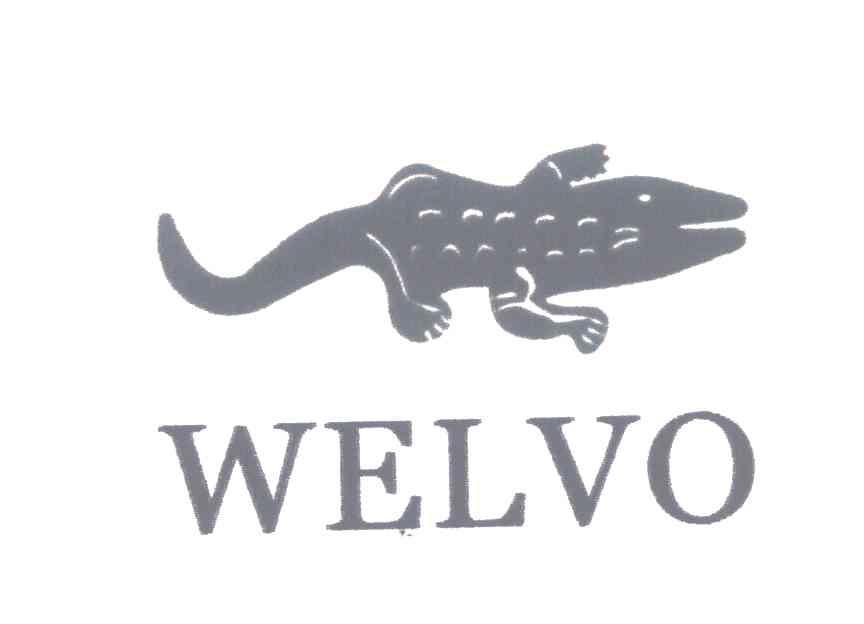 商标名称WELVO商标注册号 5098920、商标申请人留智强的商标详情 - 标库网商标查询