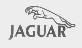商标名称JAGUAR商标注册号 1307228、商标申请人捷豹路虎有限公司的商标详情 - 标库网商标查询