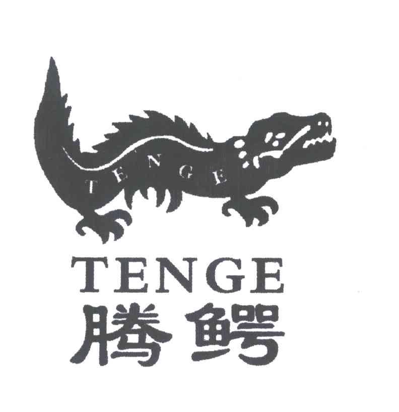 商标名称腾鳄;TENGE商标注册号 3166642、商标申请人李小红的商标详情 - 标库网商标查询