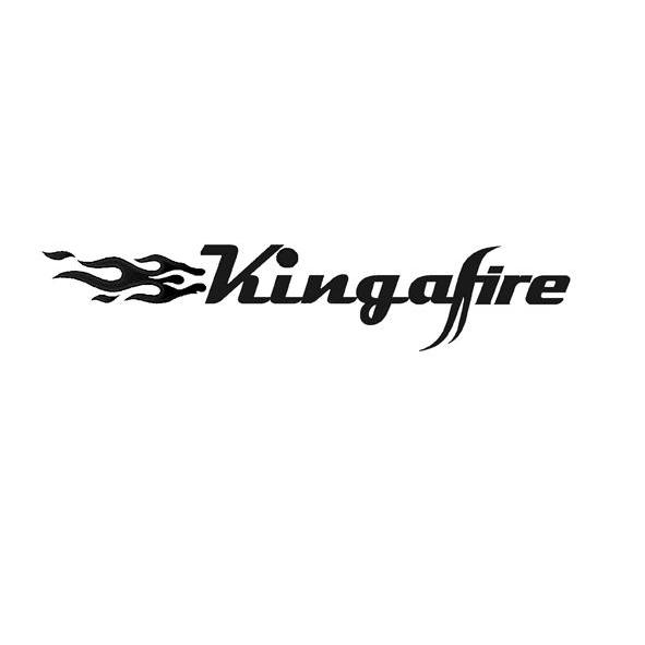 商标名称KINGAFIRE商标注册号 11574776、商标申请人洛姆坦桑尼亚有限公司的商标详情 - 标库网商标查询