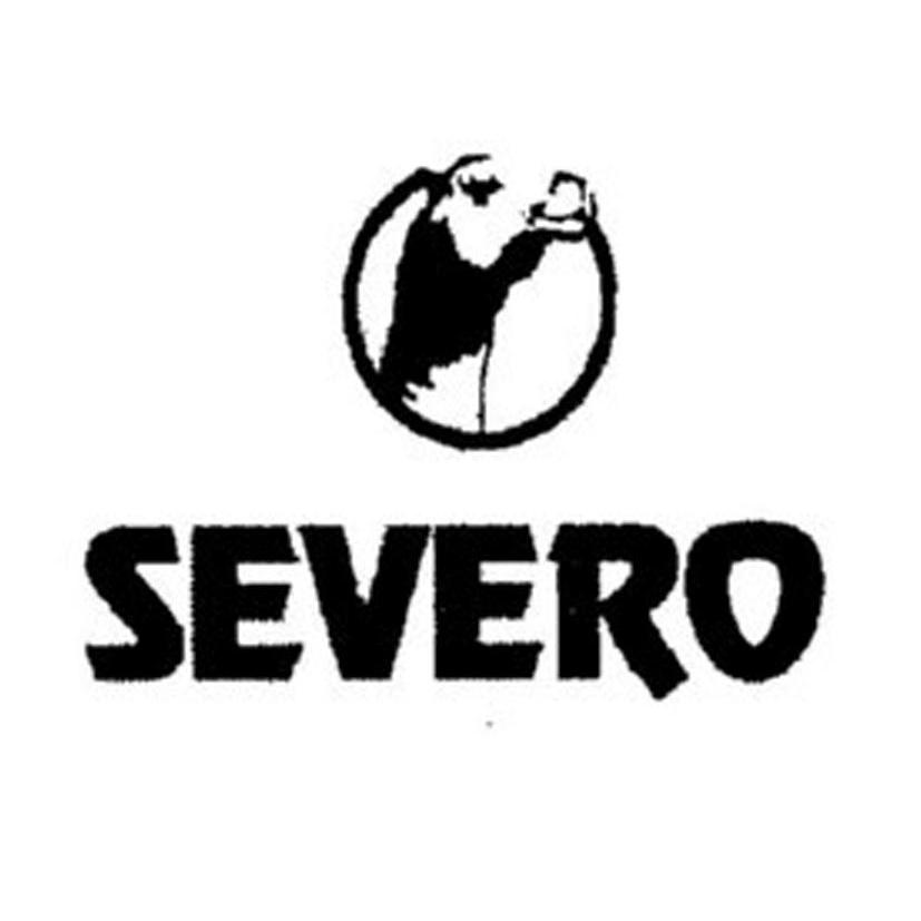 商标名称SEVERO商标注册号 10214180、商标申请人香港奋进实业有限公司的商标详情 - 标库网商标查询