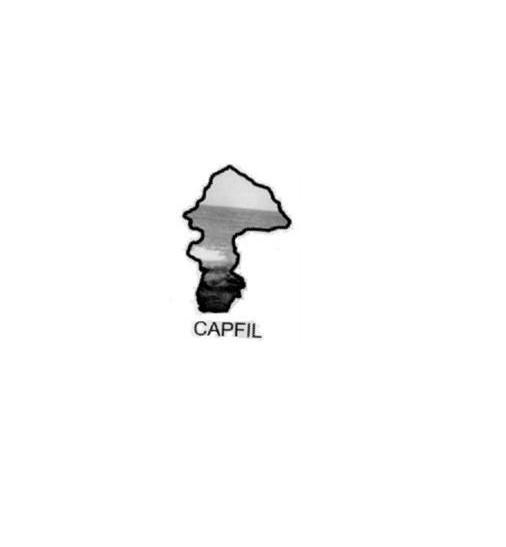 商标名称CAPFIL商标注册号 11399618、商标申请人宁波兰冠工贸有限公司的商标详情 - 标库网商标查询