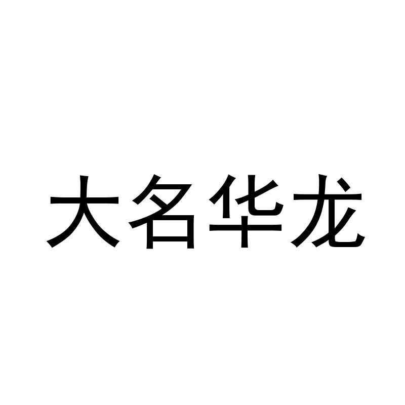 商标文字大名华龙商标注册号 19512392,商标申请人北京大名科技有限