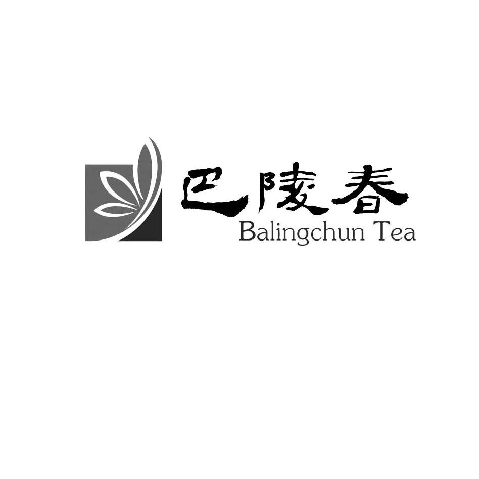 商标名称巴陵春 BALINGCHUN TEA商标注册号 10491498、商标申请人湖南洞庭山科技发展有限公司的商标详情 - 标库网商标查询