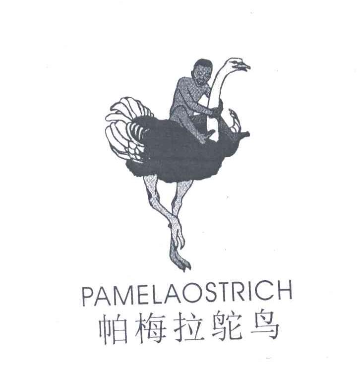 商标名称帕梅拉鸵鸟;PAMELAOSTRICH商标注册号 3575010、商标申请人纪世钦的商标详情 - 标库网商标查询
