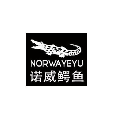 商标名称诺威鳄鱼norwayeyu商标注册号 13324596、商标申请人清新上品酷服饰有限公司的商标详情 - 标库网商标查询
