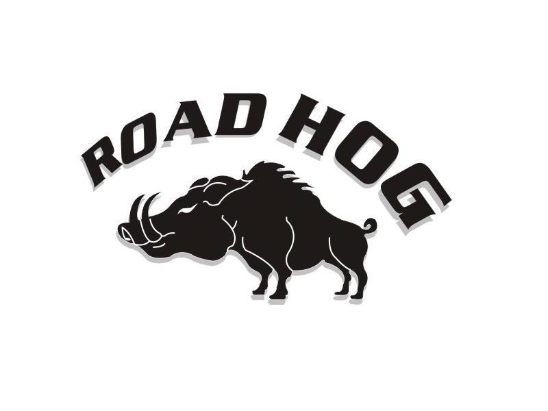 商标名称ROAD HOG商标注册号 10439327、商标申请人广州市赛得丽电子科技有限公司的商标详情 - 标库网商标查询