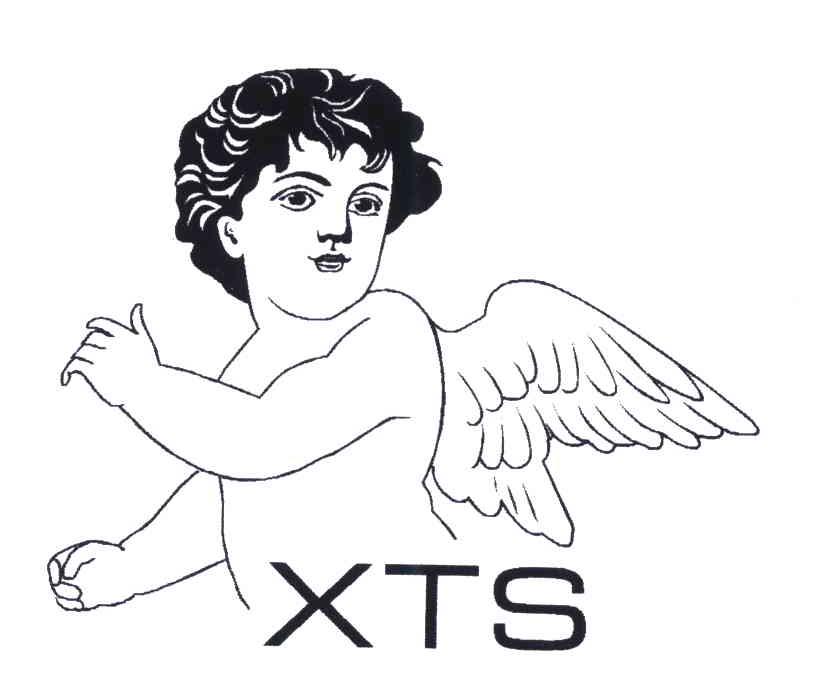 商标名称XTS商标注册号 5050707、商标申请人徐建国的商标详情 - 标库网商标查询