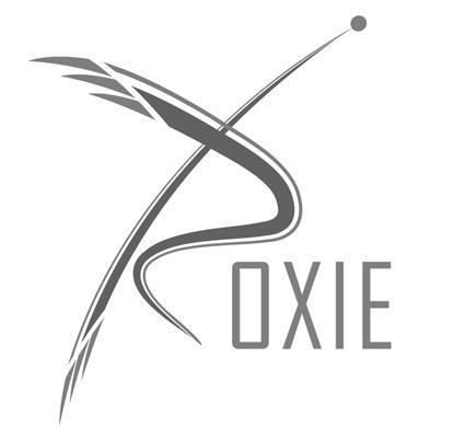 商标名称R OXIE商标注册号 10287949、商标申请人江苏省洛希尔应用电子研究所有限公司的商标详情 - 标库网商标查询