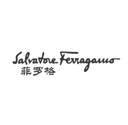 商标名称菲罗格 SALVATORE FERRAGANVO商标注册号 18241145、商标申请人上海纽禄营养食品有限公司的商标详情 - 标库网商标查询