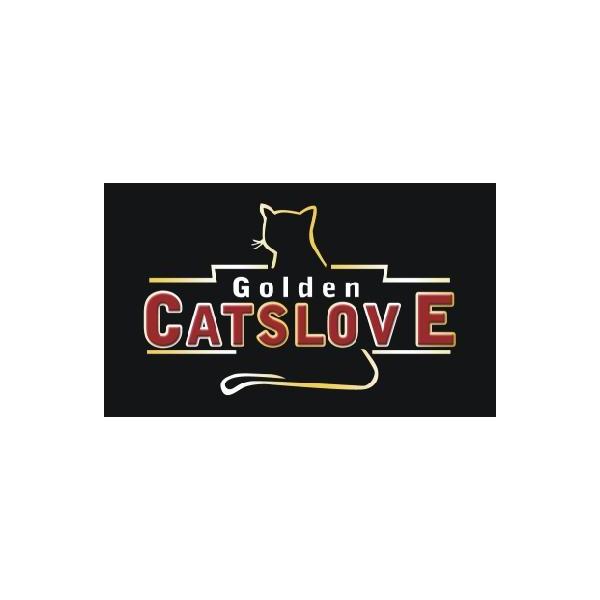 商标名称GOLDEN CATSLOVE商标注册号 12533827、商标申请人豹王集团服饰有限公司的商标详情 - 标库网商标查询