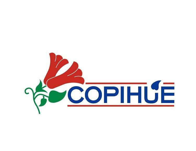 商标名称COPIHUE商标注册号 12079669、商标申请人英国优粒康谷食料有限公司的商标详情 - 标库网商标查询