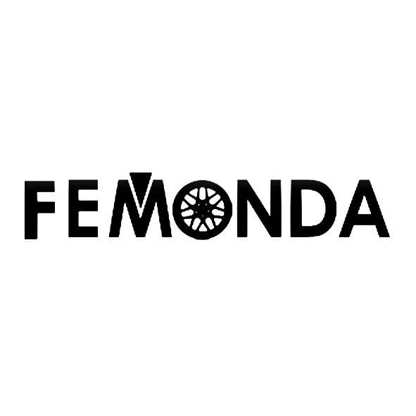 商标名称FEMONDA商标注册号 12706018、商标申请人深圳市飞梦达汽车电子有限公司的商标详情 - 标库网商标查询