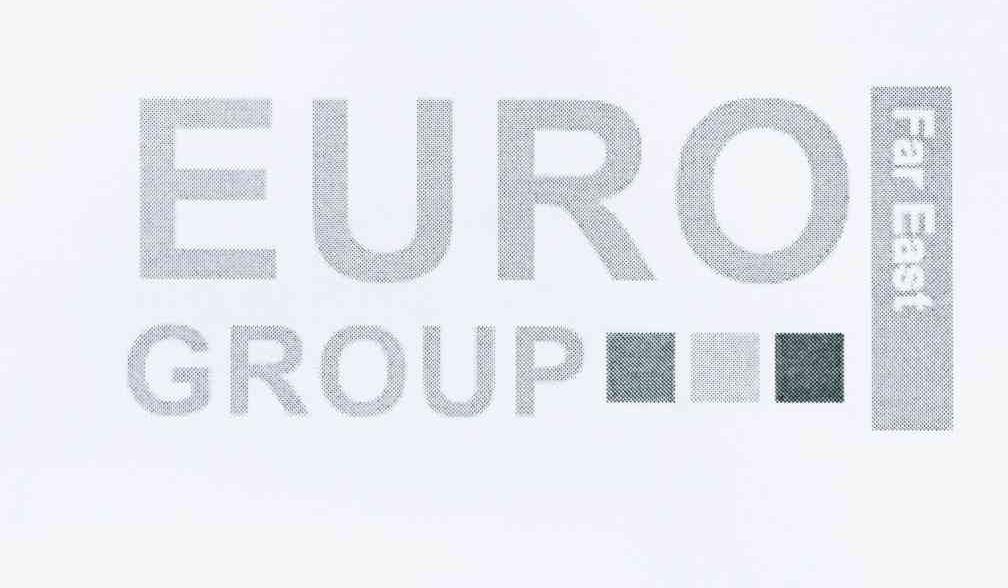 商标名称EURO GROUP FAR EAST商标注册号 10587048、商标申请人乐威中心股份有限公司的商标详情 - 标库网商标查询
