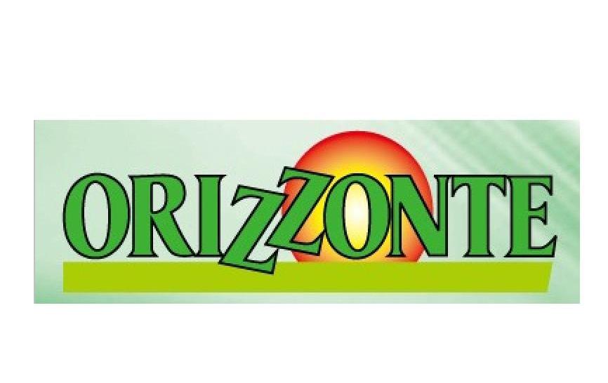 商标名称ORIZZONTE商标注册号 13819392、商标申请人海宁市耐特照明电器厂的商标详情 - 标库网商标查询
