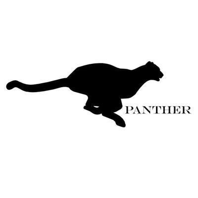 商标名称PANTHER商标注册号 11142925、商标申请人大能发展（集团）有限公司的商标详情 - 标库网商标查询