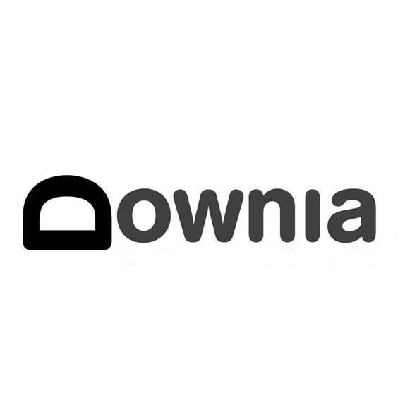 商标名称DOWNIA商标注册号 11355922、商标申请人佛山市高明高丽雅羽绒制品有限公司的商标详情 - 标库网商标查询