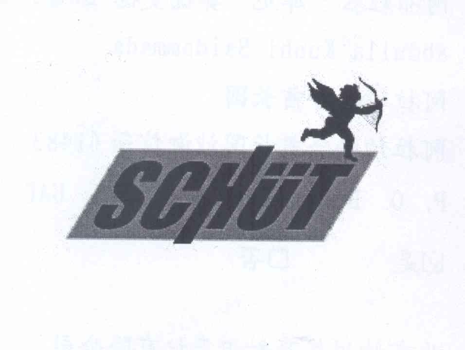 商标名称SCHUT商标注册号 13477365、商标申请人阿布杜拉·库尼·赛德曼德的商标详情 - 标库网商标查询