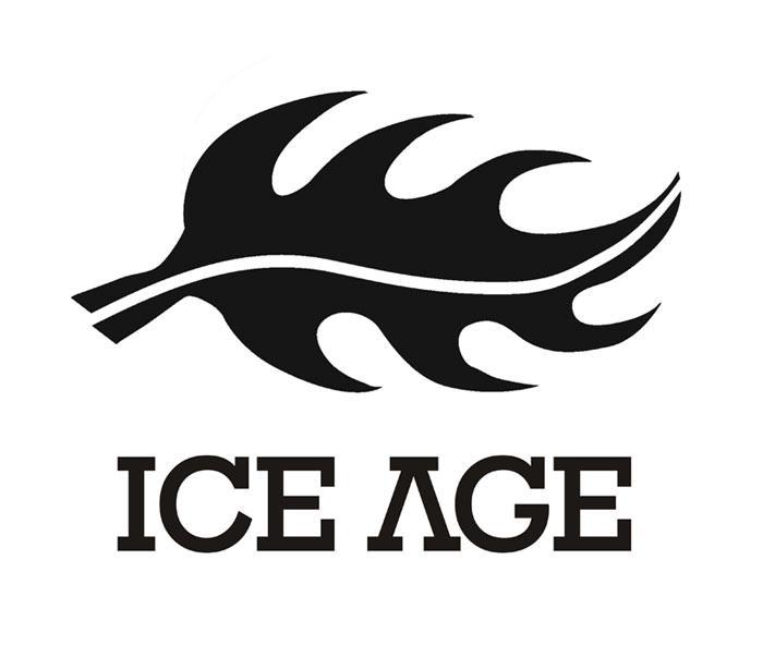 商标名称ICE AGE商标注册号 10195367、商标申请人广州甲武贸易有限公司的商标详情 - 标库网商标查询