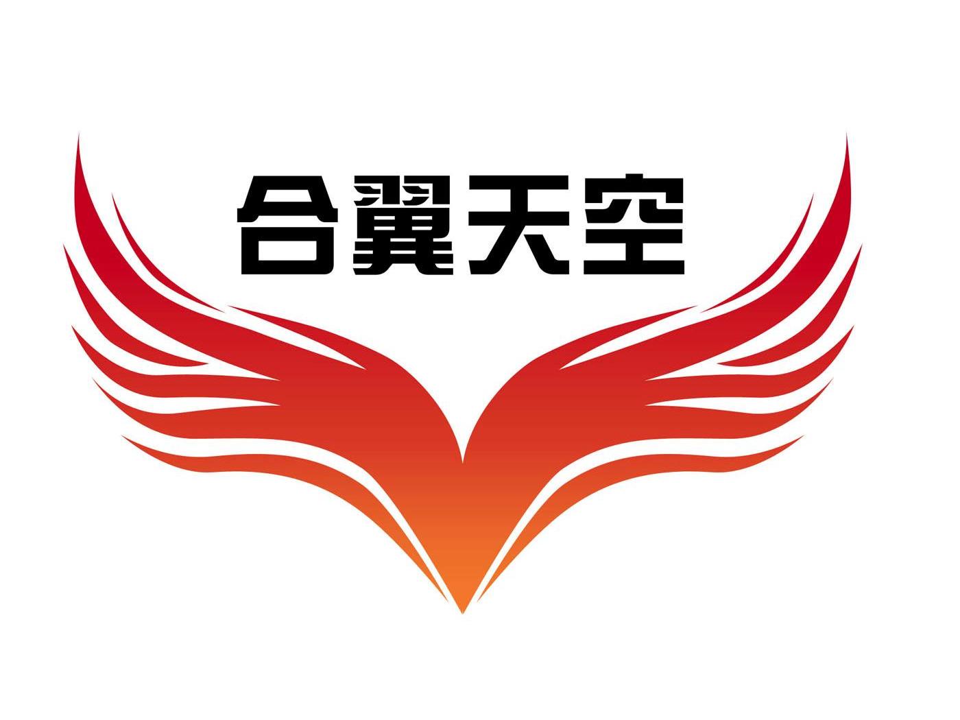 商标名称合翼天空商标注册号 10947443、商标申请人北京合翼天空国际旅行社有限公司的商标详情 - 标库网商标查询