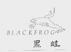 商标名称黑蛙   BLACKFROG商标注册号 1034437、商标申请人温州市鹿城区市中陈加明服饰店的商标详情 - 标库网商标查询
