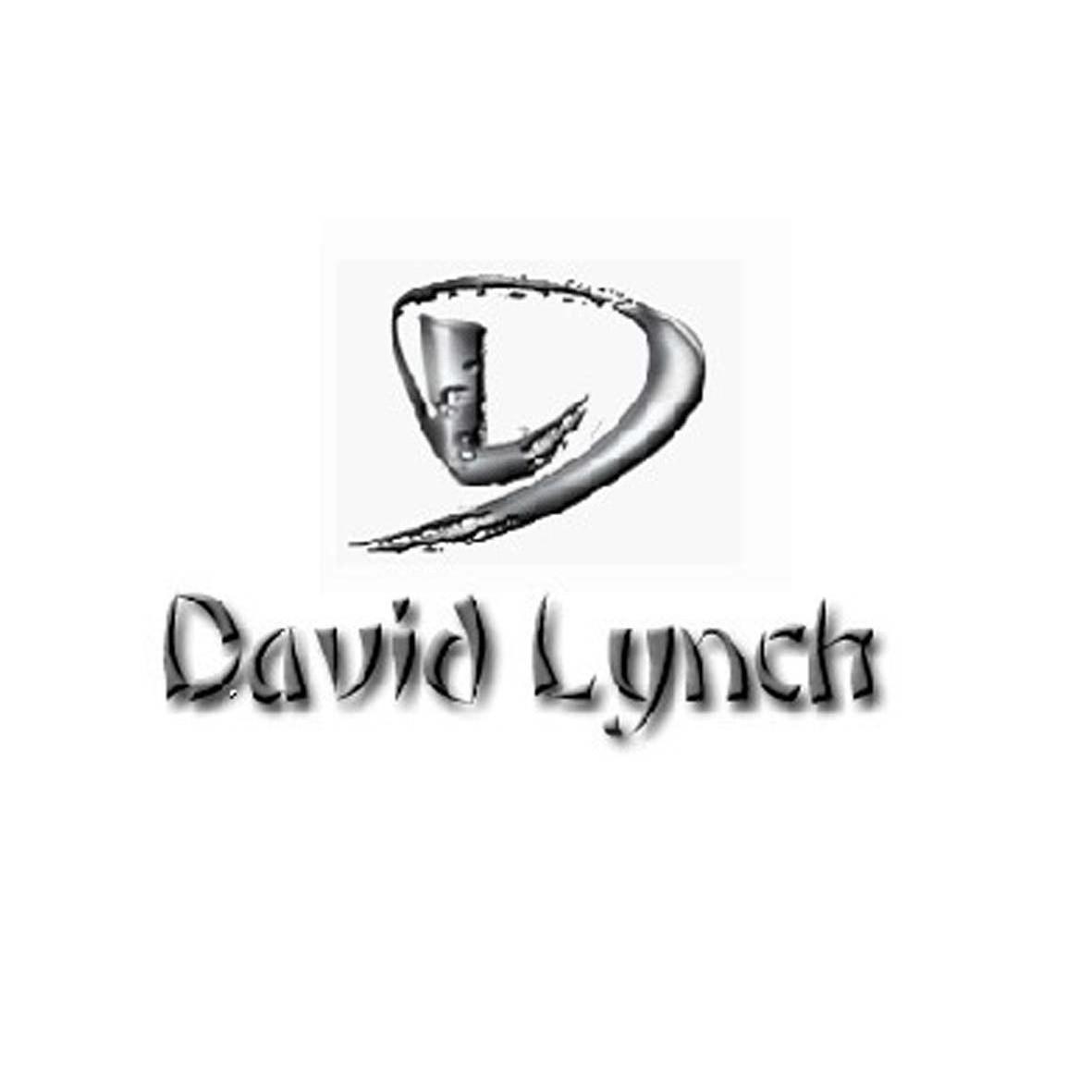 商标名称DAVID LYNCH DL商标注册号 10404870、商标申请人福建省泰王服饰织造有限公司的商标详情 - 标库网商标查询