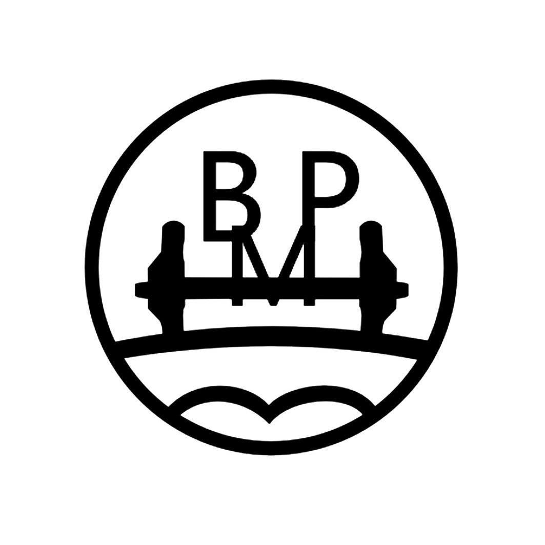 商标名称BPM商标注册号 13692902、商标申请人蛇口港口机械制造股份有限公司的商标详情 - 标库网商标查询