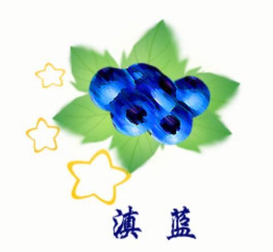 商标名称滇蓝商标注册号 12472469、商标申请人澄江星星蓝莓农民专业合作社的商标详情 - 标库网商标查询