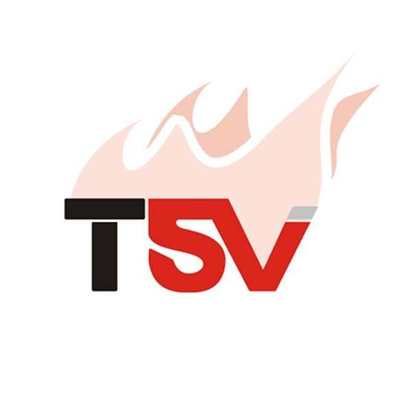 商标名称TSV商标注册号 11060845、商标申请人东莞市浩瑞文化传播有限公司的商标详情 - 标库网商标查询