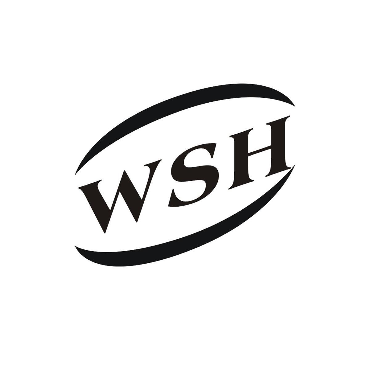 商标名称WSH商标注册号 10213413、商标申请人佛山市威晗工具刃具有限公司的商标详情 - 标库网商标查询