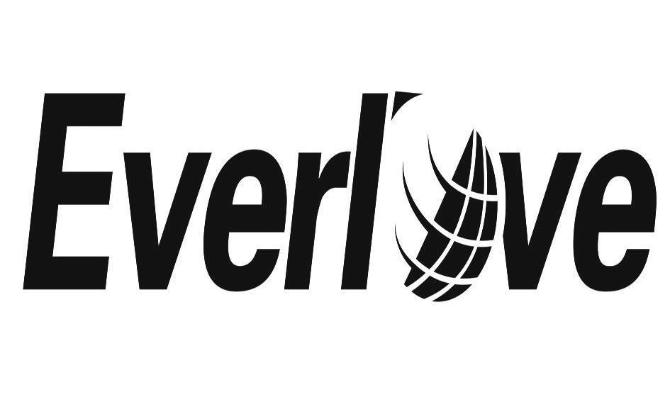 商标名称EVERLOVE商标注册号 9877544、商标申请人浙江九泰实业有限公司的商标详情 - 标库网商标查询