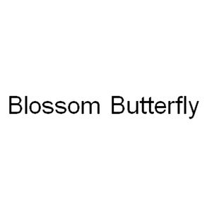商标名称BLOSSOM BUTTERFLY商标注册号 18265532、商标申请人斯凯霍普公司的商标详情 - 标库网商标查询