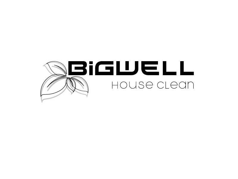 商标名称BIGWELL HOUSE CLEAN商标注册号 10494943、商标申请人江苏巨鸿超细纤维制造有限公司的商标详情 - 标库网商标查询
