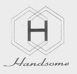 商标名称HANDSOME商标注册号 1323247、商标申请人深圳市汉德胜化工有限公司的商标详情 - 标库网商标查询