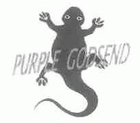 商标名称PURPLE GODSEND商标注册号 1679404、商标申请人广州夏商贸易有限公司的商标详情 - 标库网商标查询