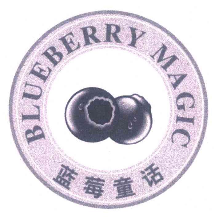 商标名称蓝莓童话 BLUEBERRY MAGIC商标注册号 7191974、商标申请人瑞恩（天津）智能产品有限公司的商标详情 - 标库网商标查询