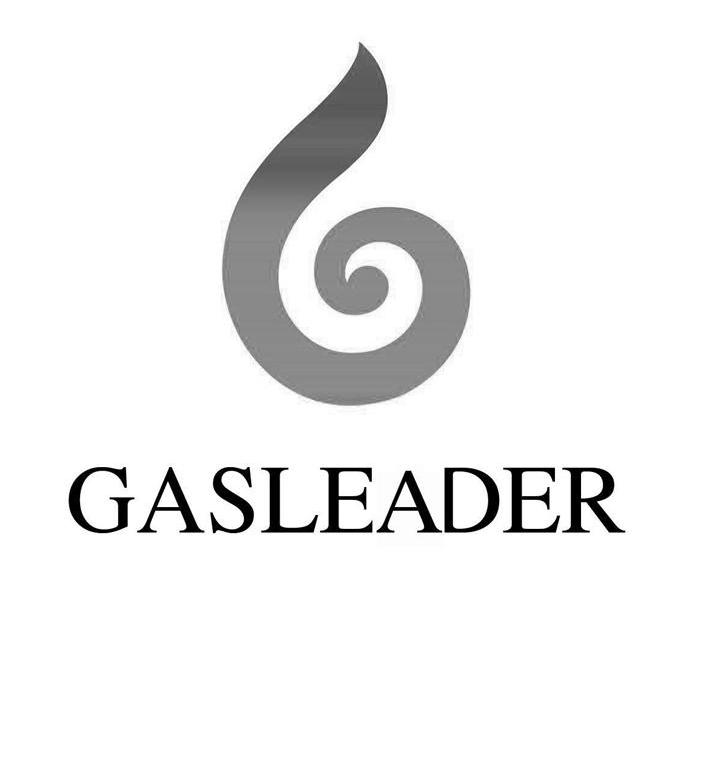 商标名称GASLEADER商标注册号 10889796、商标申请人潍坊恒海投资管理有限公司的商标详情 - 标库网商标查询