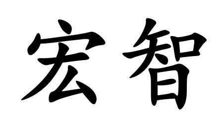 商标文字宏智商标注册号 49429647,商标申请人濮阳市智善堂商贸有限