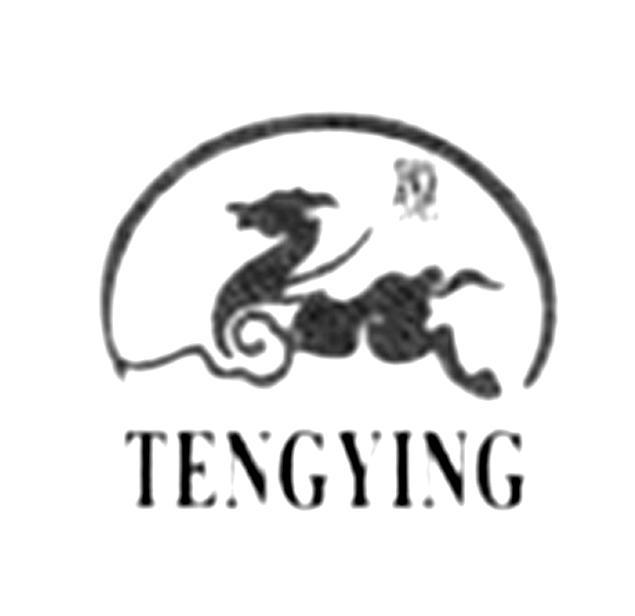 商标名称TENGYING商标注册号 12905808、商标申请人绍兴滕赢纺织有限公司的商标详情 - 标库网商标查询