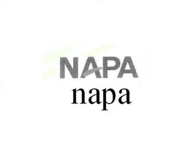 商标名称NAPA商标注册号 14699335、商标申请人深圳市元一数码有限公司的商标详情 - 标库网商标查询