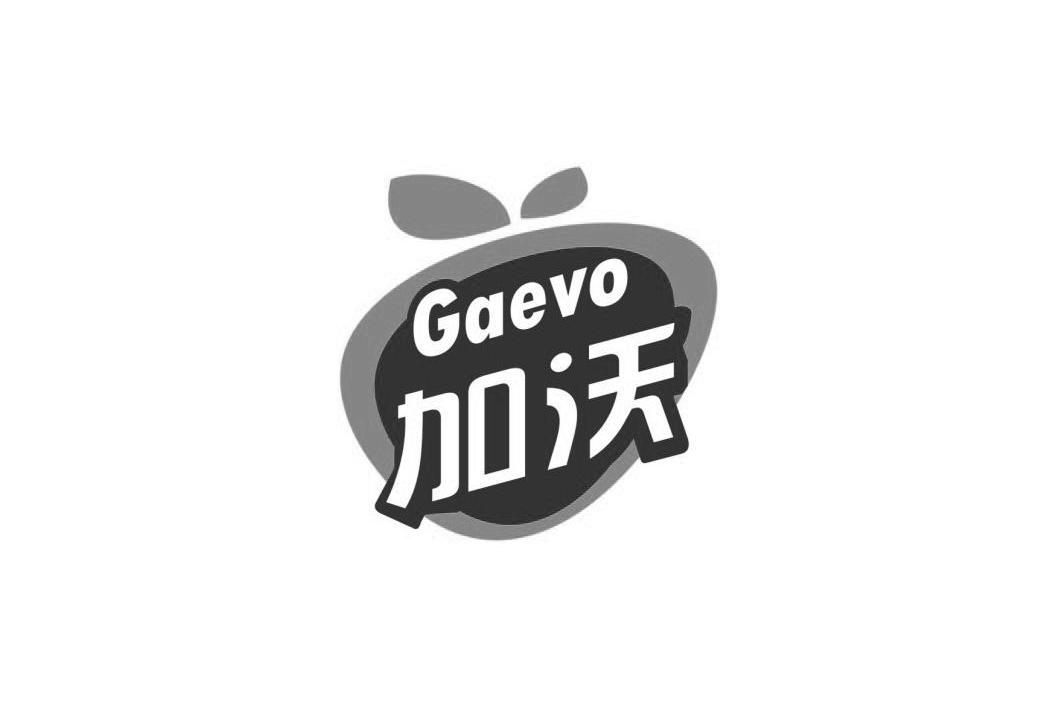 商标名称加沃 GAEVO商标注册号 11925926、商标申请人河南小浪底实业集团有限公司的商标详情 - 标库网商标查询