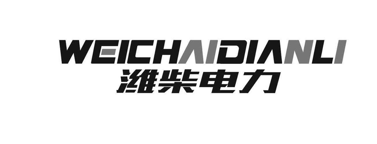 商标文字潍柴电力商标注册号 59072318,商标申请人许效杰的商标详情