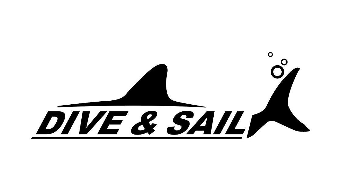 商标名称DIVE SAIL商标注册号 10848345、商标申请人东莞新嘉体育用品有限公司的商标详情 - 标库网商标查询