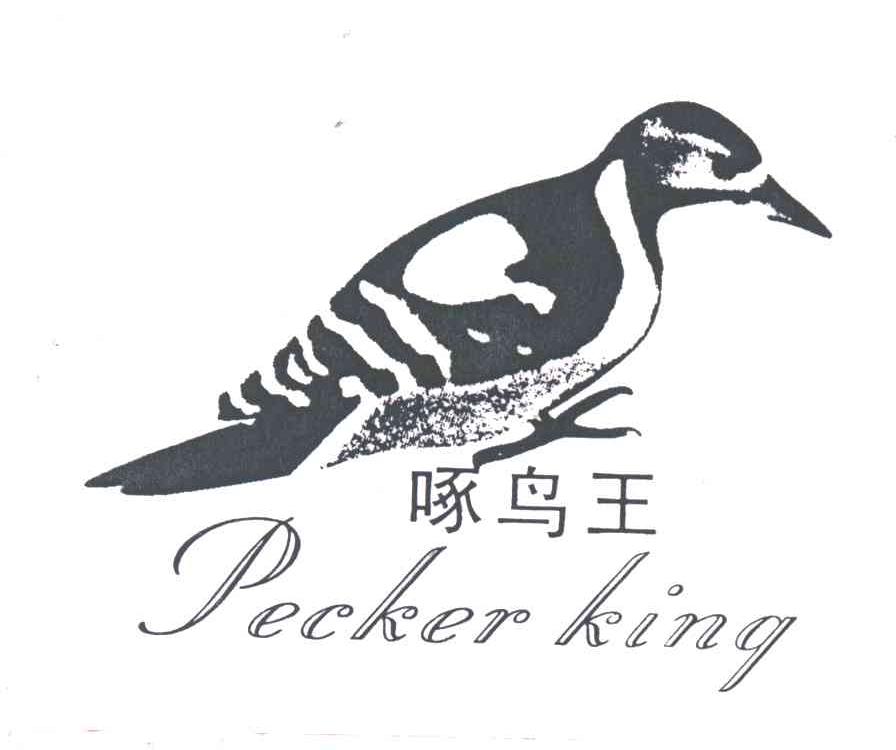 商标名称啄鸟王 PECKER KING商标注册号 2005548、商标申请人瑞安市浪渡鞋业有限公司的商标详情 - 标库网商标查询
