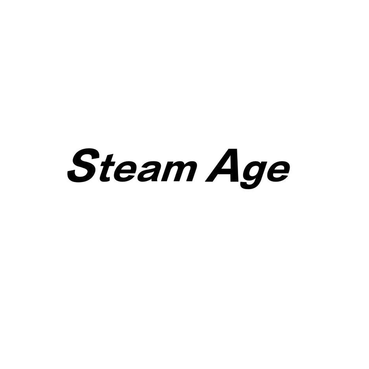 商标文字steam age商标注册号 42157962,商标申请人合肥东逸服饰有限