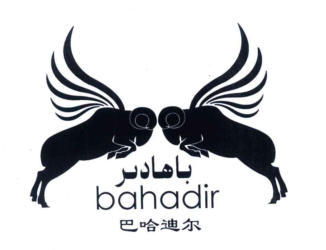 商标名称巴哈迪尔;BAHADIR商标注册号 5974528、商标申请人米日布拉·艾比布拉的商标详情 - 标库网商标查询
