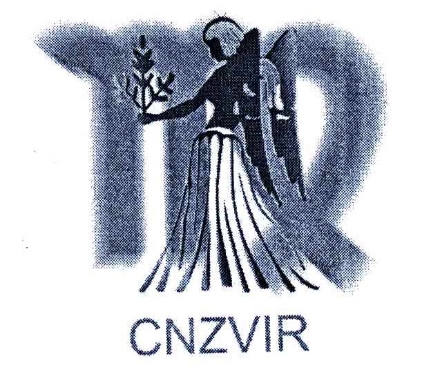 商标名称CNZVIR商标注册号 6333274、商标申请人诸暨市弘源针纺织品有限公司的商标详情 - 标库网商标查询