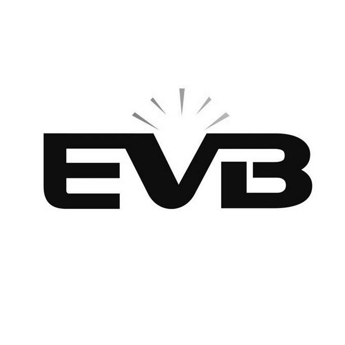 商标名称EVB商标注册号 13109137、商标申请人深圳市世亮照明有限公司的商标详情 - 标库网商标查询