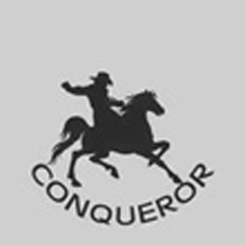 商标名称CONQUEROR商标注册号 13002039、商标申请人永康市诺阳科技有限公司的商标详情 - 标库网商标查询