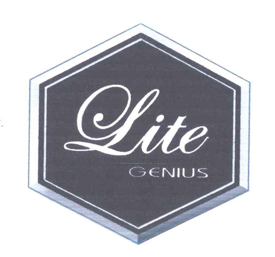 商标名称LITE GENIUS商标注册号 5260967、商标申请人合肥杰事杰新材料股份有限公司的商标详情 - 标库网商标查询